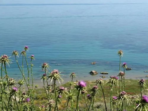 Hotel San Giorgio 4*