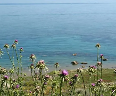 Отель San Giorgio 4*